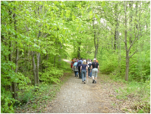 584x433 pixels (191K)